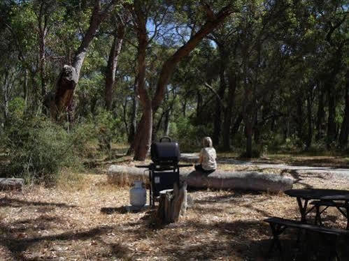 Woody Grange Chalets Albany Esterno foto